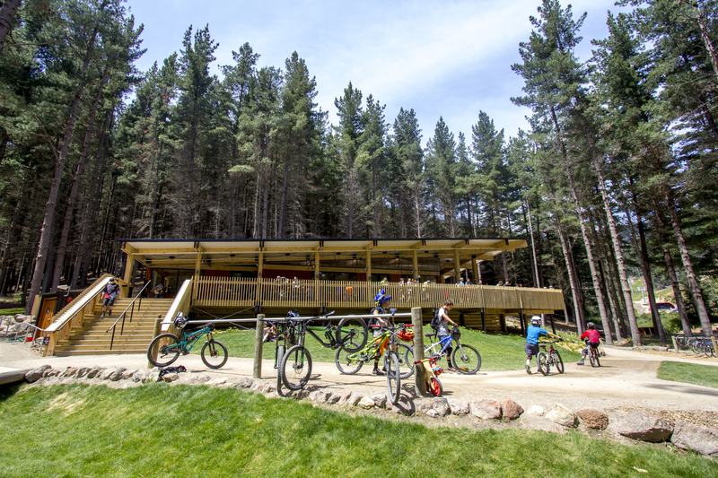 Christchurch Adventure Park – black-clad buildings and folded-roof café in the forest by AW Architects – image 5